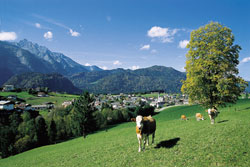 klicken zum vergr&ouml;ssern